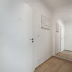 Rezidence Dibelka Apartment Trhova Kamenice